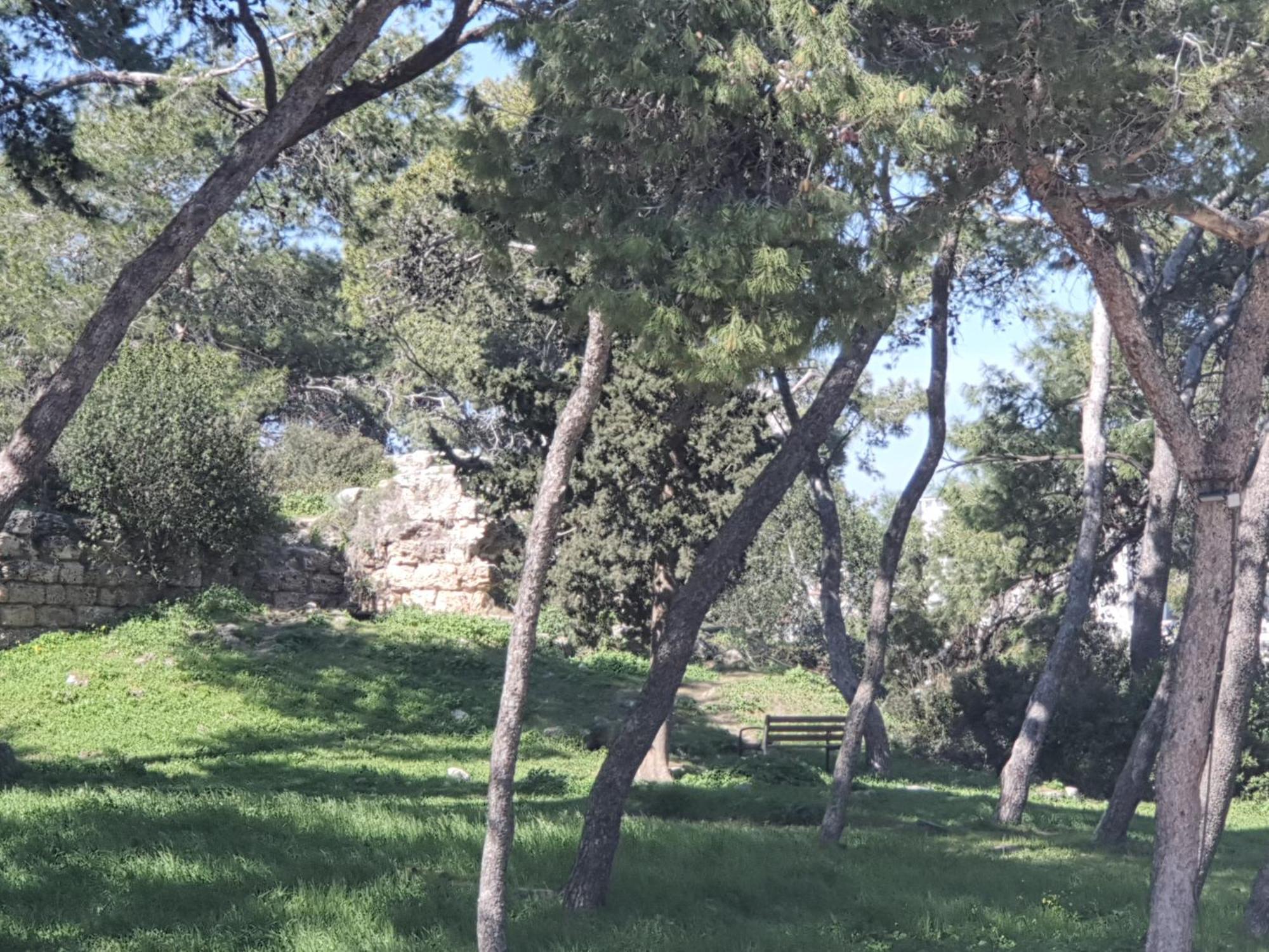 Marom Residence Romema Haifa Exteriör bild